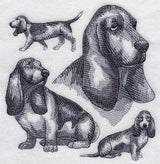 Basset Hound Sketch