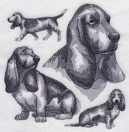 Basset Hound Sketch