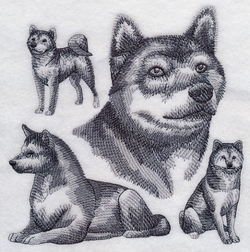 Shiba Inu Sketch