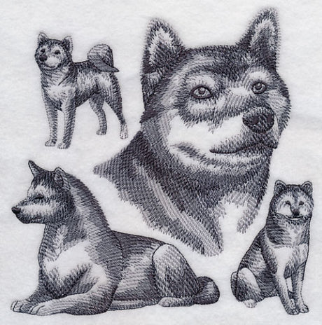 Shiba Inu Sketch