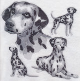 Dalmatian Sketch