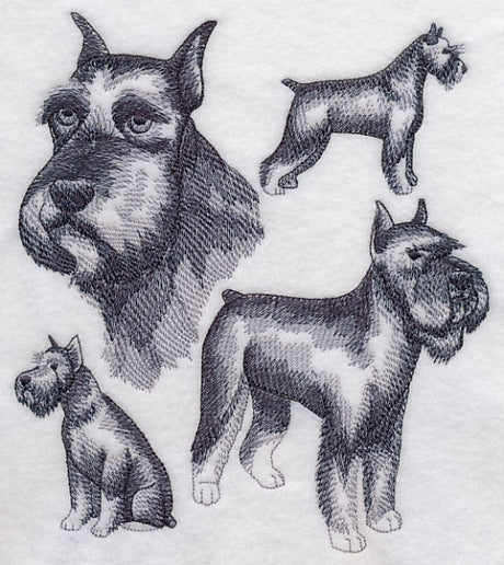 Schnauzer Sketch (Docked Tail and Cropped Ears)
