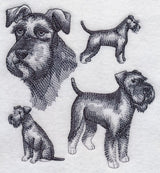 Schnauzer Sketch (Full Tail and Ears)