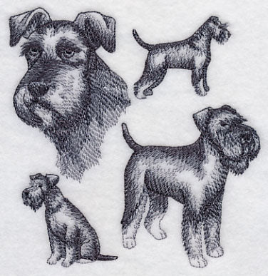 Schnauzer Sketch (Full Tail and Ears)