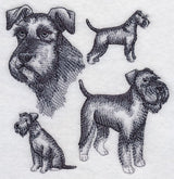 Schnauzer Sketch (Full Tail and Ears)