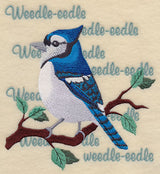 Blue Jay Song