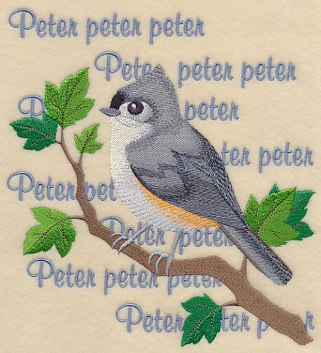 Tufted Titmouse Song