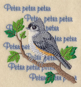 Tufted Titmouse Song