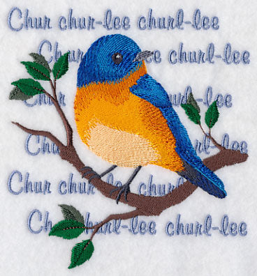 Eastern Bluebird Song