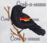 Red-winged Blackbird Song