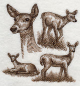 White-tailed Deer Sketch