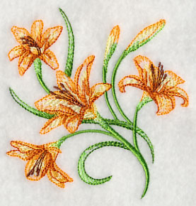 Delicate Daylilies 1