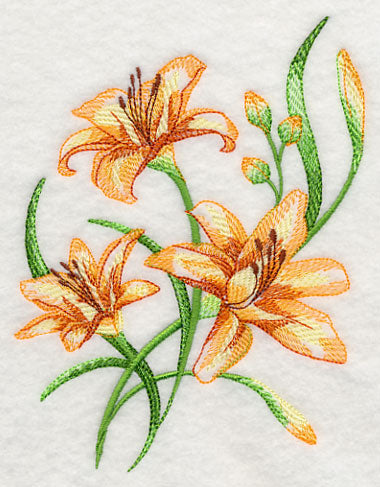 Delicate Daylilies 2