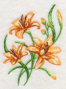 Delicate Daylilies 2