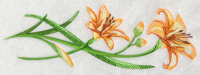 Delicate Daylilies Border 1