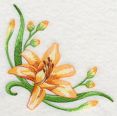 Delicate Daylilies Corner 1