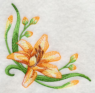 Delicate Daylilies Corner 1