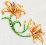 Delicate Daylilies Corner 2