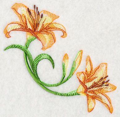 Delicate Daylilies Corner 2