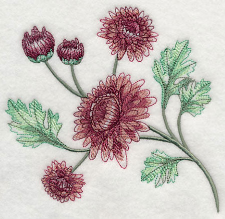 Classy Chrysanthemums 1