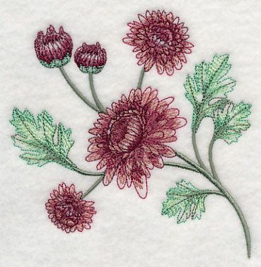 Classy Chrysanthemums 1