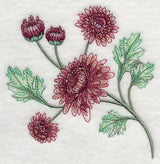 Classy Chrysanthemums 1