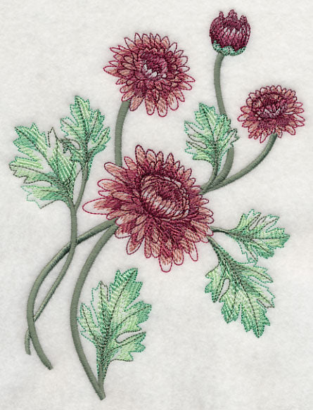 Classy Chrysanthemums 2