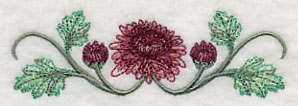 Classy Chrysanthemums Border 1