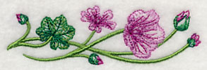 Marvelous Malva Border 1