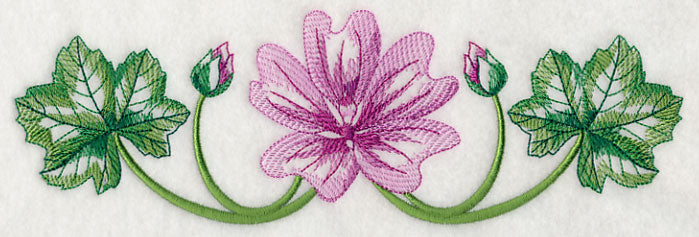 Marvelous Malva Border 2