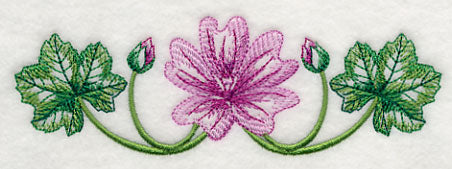 Marvelous Malva Border 2