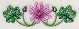 Marvelous Malva Border 2