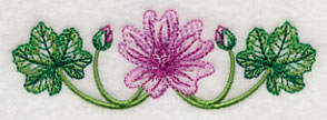 Marvelous Malva Border 2