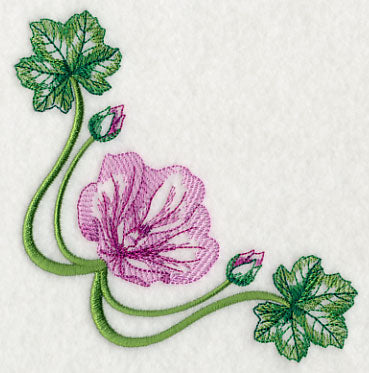 Marvelous Malva Corner 2