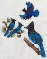 Steller's Jay Collage