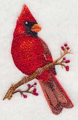 Cardinal on Berry Branch