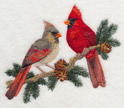 Cardinals in Pine