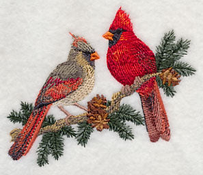 Cardinals in Pine
