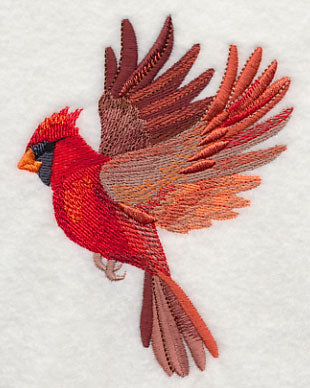 Cardinal Wings Aflutter