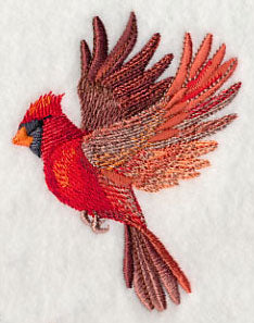 Cardinal Wings Aflutter