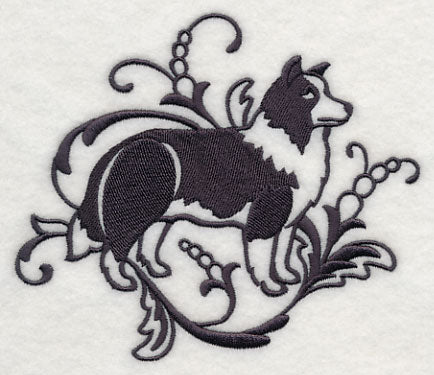 Graceful Border Collie