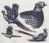 Pheasant Sketch