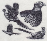 Pheasant Sketch