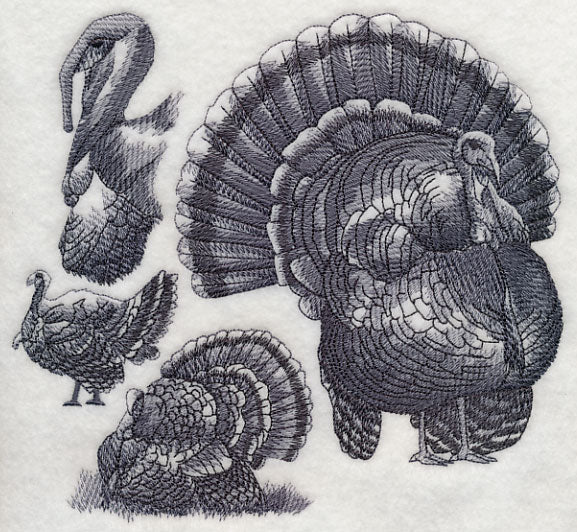 Turkey Sketch