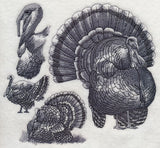 Turkey Sketch