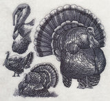 Turkey Sketch