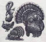 Turkey Sketch