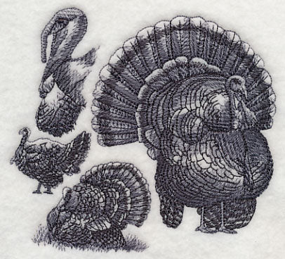 Turkey Sketch