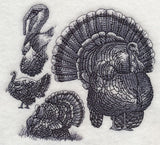 Turkey Sketch