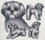 Shih Tzu Sketch